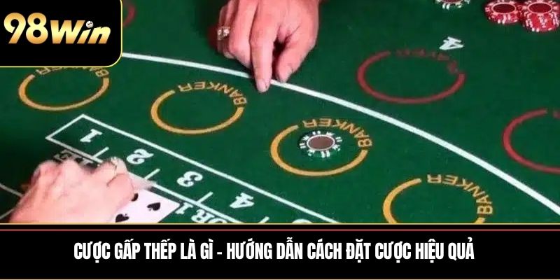 cược gấp thếp là gì