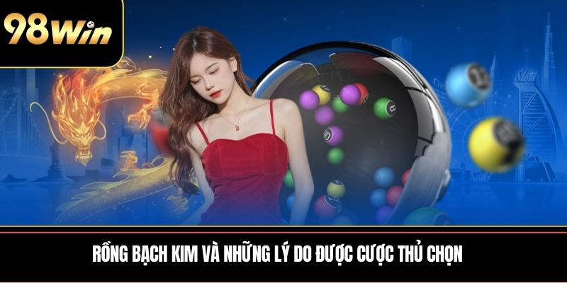 Rồng Bạch Kim và những lý do được cược thủ chọn